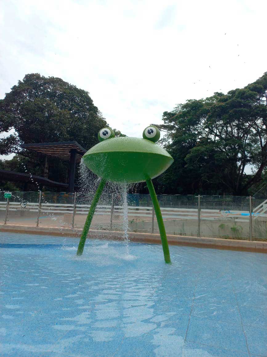 Sapo-Regadera-verde Sapo Gigante tipo regadera