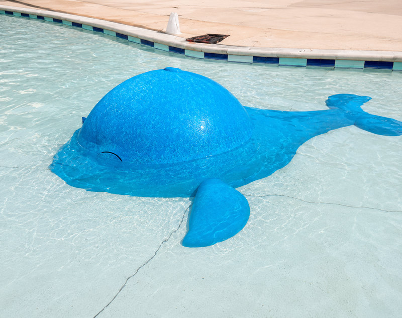 ballena chorro Ballena Chorro para parques acuáticos